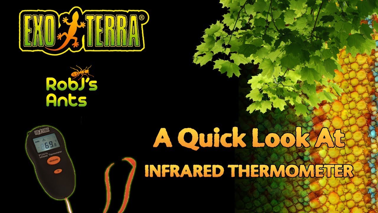 Exo Terra Infrared Thermometer