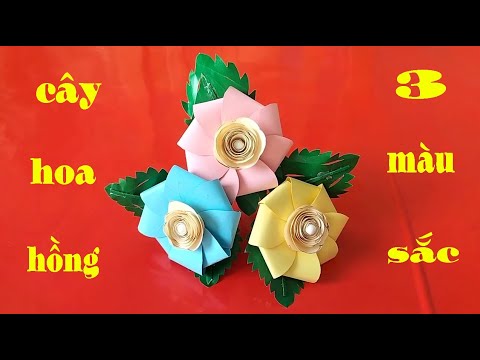 Видео: Thêm một cách cắt và gấp những bông hoa của cây hoa từ giấy màu thủ công - New Idea DIY