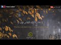 هل أتاك حديث موسى القارئ إسلام صبحي 