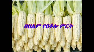 Download Lagu π α α
αα #α αα #α¨α αα αα #α α¨ααα° α αα #α£αααα α αα Download Lagu π α α
αα #α αα #α¨α αα αα #α α¨ααα° α αα #α£αααα α αα