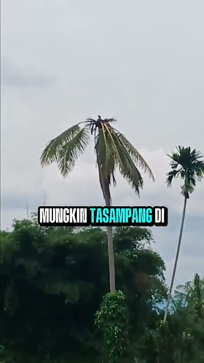 Kisah Mak Adang Bagian 1 #kisahmakadang #minangkabau