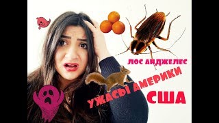 ПЛЮСЫ И МИНУСЫ ЖИЗНИ В LA | ЛОС АНДЖЕЛЕС