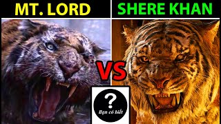 Mountain Lord VS Shere Khan, con nào sẽ thắng #153 |Bạn Có Biết?