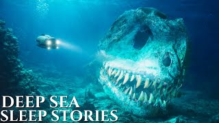 The Strangest Creatures Found in the Mariana Trench