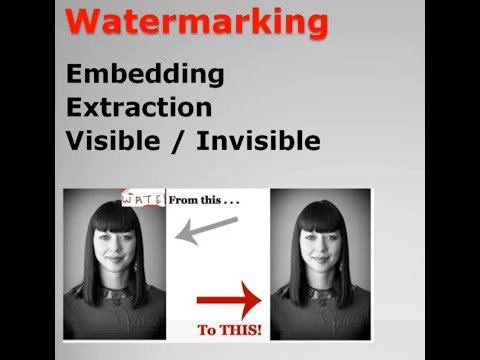 Digital Image Watermarking