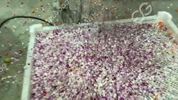 Multi-function Onion Cutting Machine Operation Video