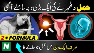 Sirf 1 Din Mein Hamal Ho Jayega ✅ How to Get Pregnant in Urdu
