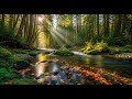 River Ambience 🌿 Soothing Flowing Water Sounds for Meditation and Deep Sleep #719