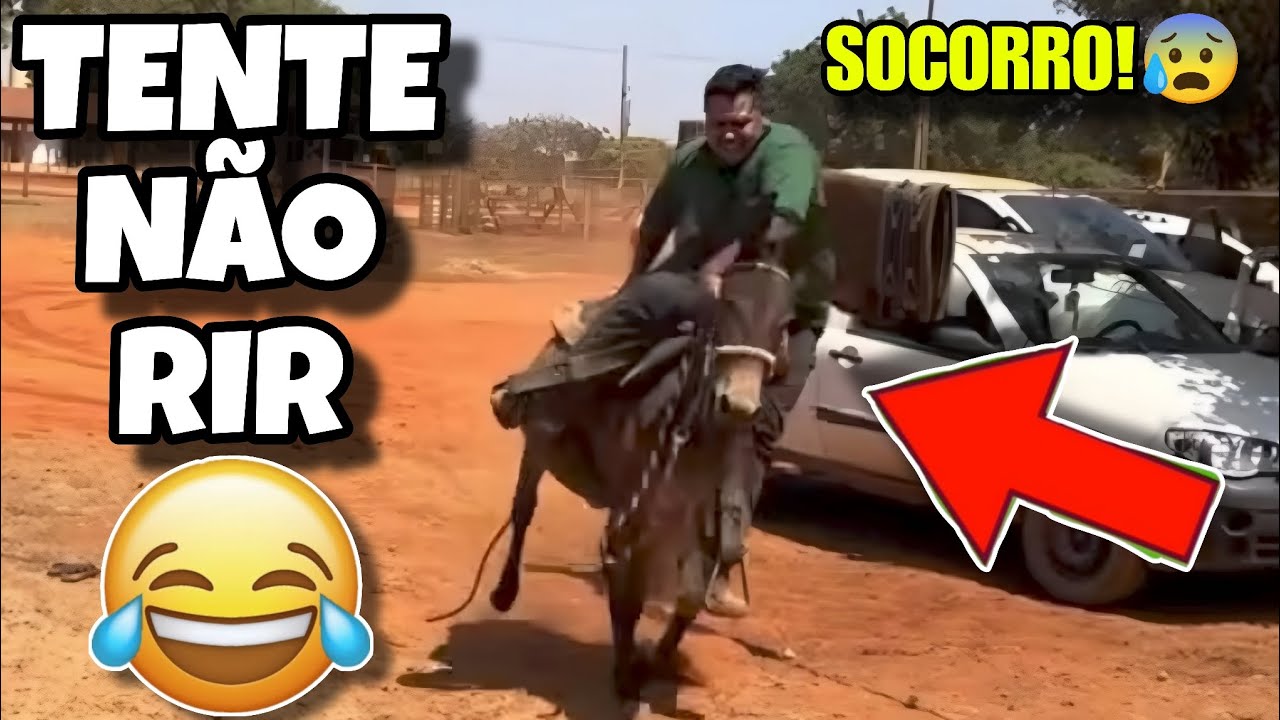 TENTE NÃO RIR: OS MELHORES VIDEOS DA INTERNET #tentenaorir #videosengracados #humor #comedia #tiktok