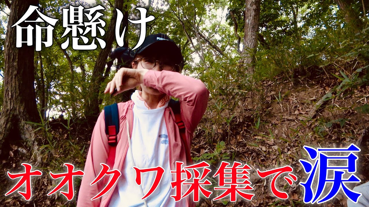 命懸けのオオクワ採集で号泣しました