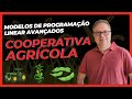 Exercício de Modelos de Programação Linear Avançados - Problema da Cooperativa Agrícola - EP  9