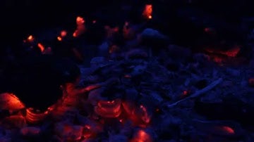 What absorbs the light -- Performed by Abram Hindle at New Music Edmonton