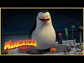 La misión de escape | DreamWorks Madagascar en Español Latino