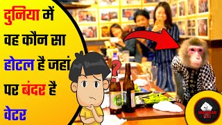 ऐसा होटल जहां पर बंदर 🐵 करते हैं खाना 🍝 सर्व 😮 | karantikari fact #shorts