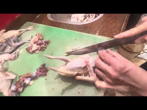 طريقة تنضيف وفتح وتجهيز الحمام الفلاحي زي المحترفين في البيت من ذبح الحمام لحد الحشو والتسوية 