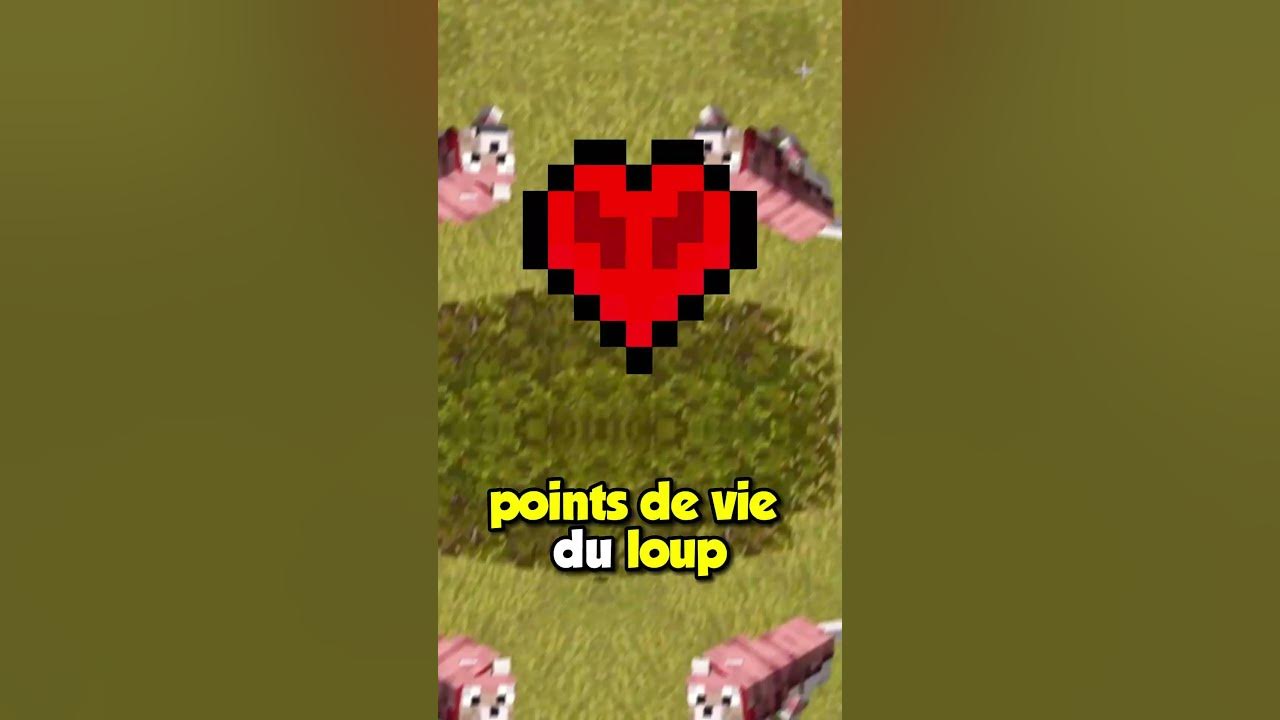 ENCHANTER une ARMURE de LOUP sur minecraft en 1.21 YouTube
