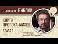 Книга пророка Михея. Глава 1. Андрей Десницкий. Библия. Ветхий Завет