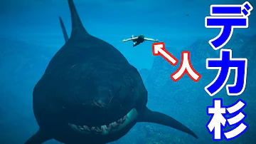 グラセフ 海