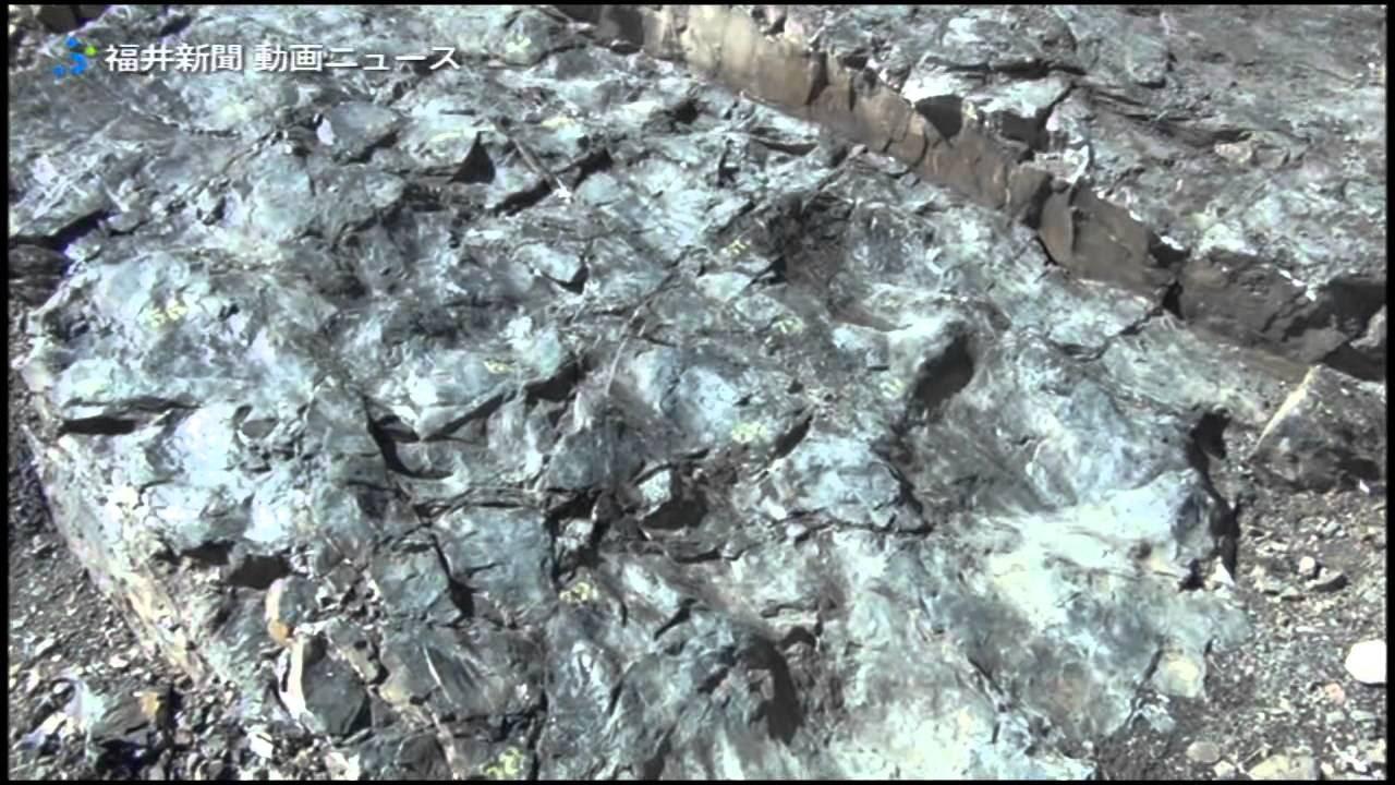 20年ぶり恐竜足跡化石公開 - YouTube