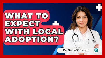 What To Expect With Local Adoption? - PetGuide360.com
