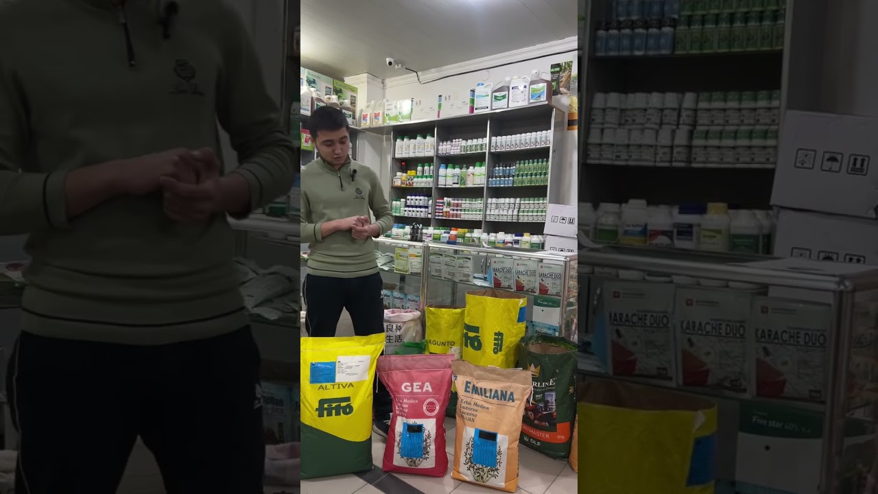 Beda uruğlarimiz sotuvda 90 198 79 78