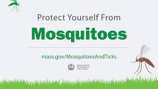 Keep Mosquitoes Away from Your Home and Yard