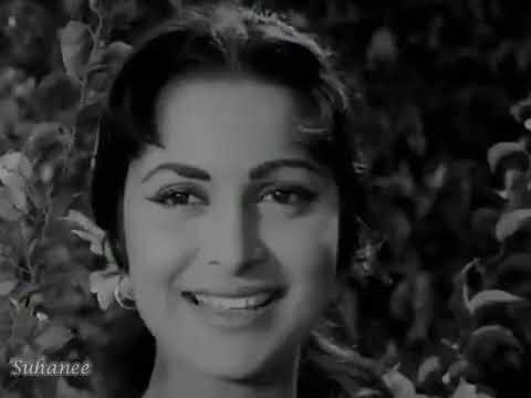 O Bekarar Dil – Lata Mangeshkar - Kohraa (1964) @Suhanee2