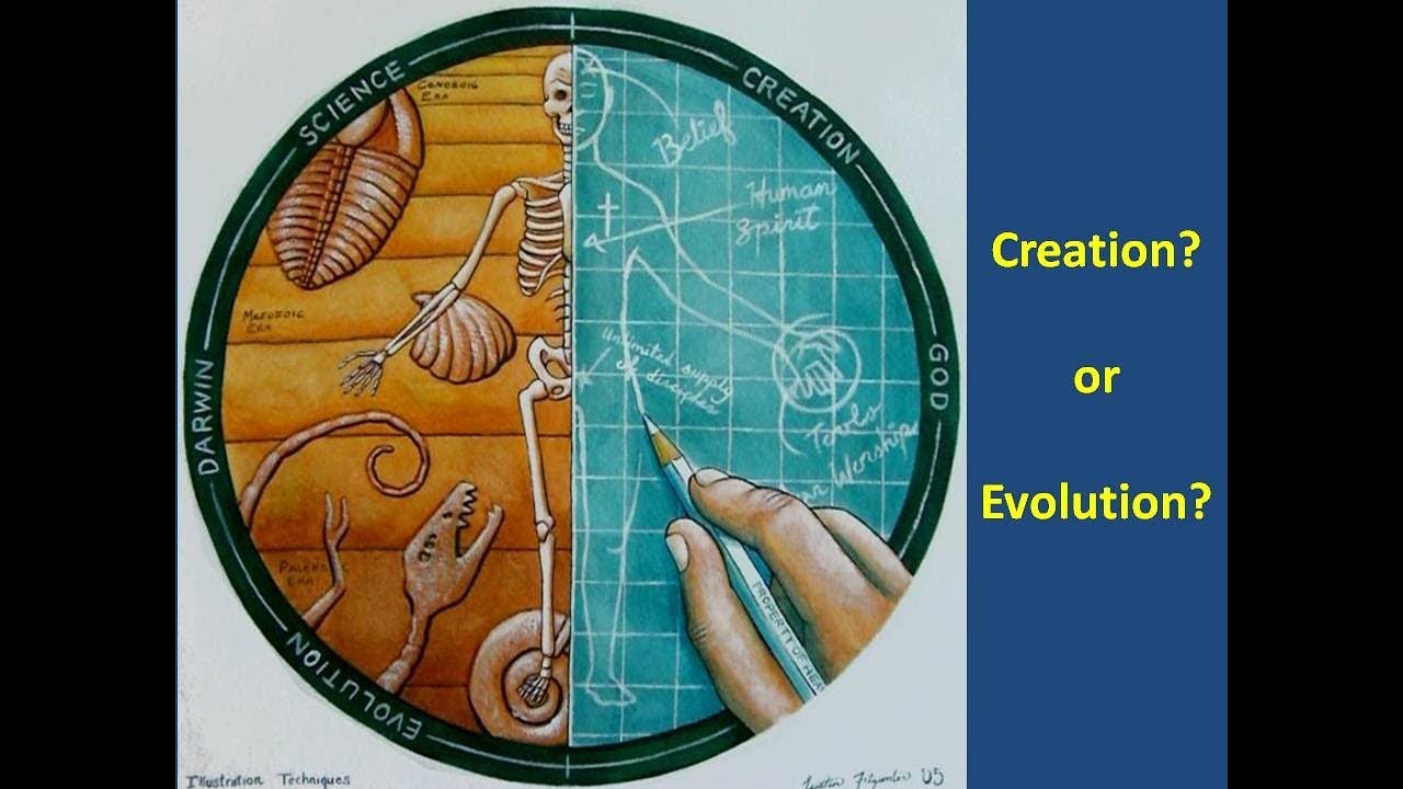 Creation vs Evolution - YouTube