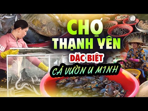 Khám Phá Chợ Thạnh Yên - Huyện U Minh, Kiên Giang | ĐẶC SẢN Cá Đồng Vườn U MINH