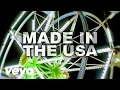 Demi Lovato - Made in the USA (Official Lyric Video)