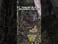 【心霊】500人余りが◯んだ城跡で男の子が木を揺らして遊んでいる#心霊 #心霊スポット #あやはる心霊 #仙台 #宮城 #石巻