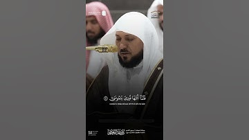 مقتطف من تلاوة فضيلة الشيخ د. #ماهر_المعيقلي من صلاة العشاء 11 ربيع الاخر 1446هـ.