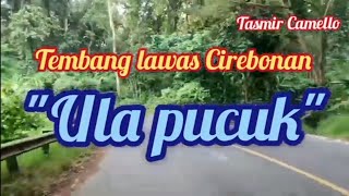 Tembang lawas cirebonan - ula pucuk - @tasmir camello