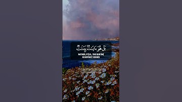 تلاوة هادئة ومريحة 😌 من سورة العنكبوت بصوت عبدالرحمن مسعد