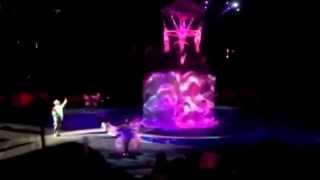 Accidente en el circo Ringling Brothers HD
