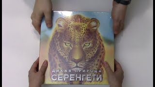 Распаковка настольных игр Амулет и Дикая Природа Серенгети с комп-ми от Meeple Foxes и Meeple House