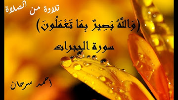 (وَاللَّهُ بَصِيرٌ بِمَا تَعْمَلُونَ) الحجرات (تلاوة من الصلاة) أحمد سرحان