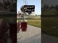 مبسوطه بهالسيران سمعو على هالسمعة سيران مع الحبايب 