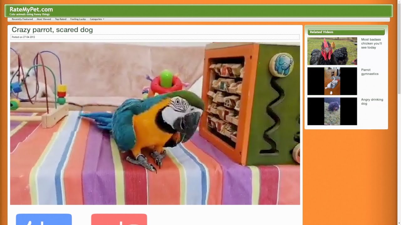 Watch Caper Clowns - CAPS LOCK ON on YouTube Watch Caper Clowns - CAPS LOCK ON on YouTube