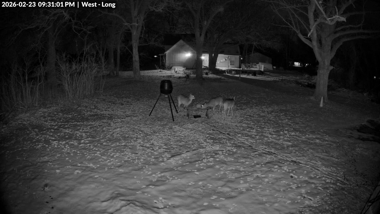Animal Watch - 2/23/26 PM