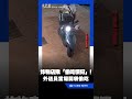 外送員取餐往自己嘴裡送？炸物店怒曝監視器揪「偷吃慣犯」｜三立新聞LIVE