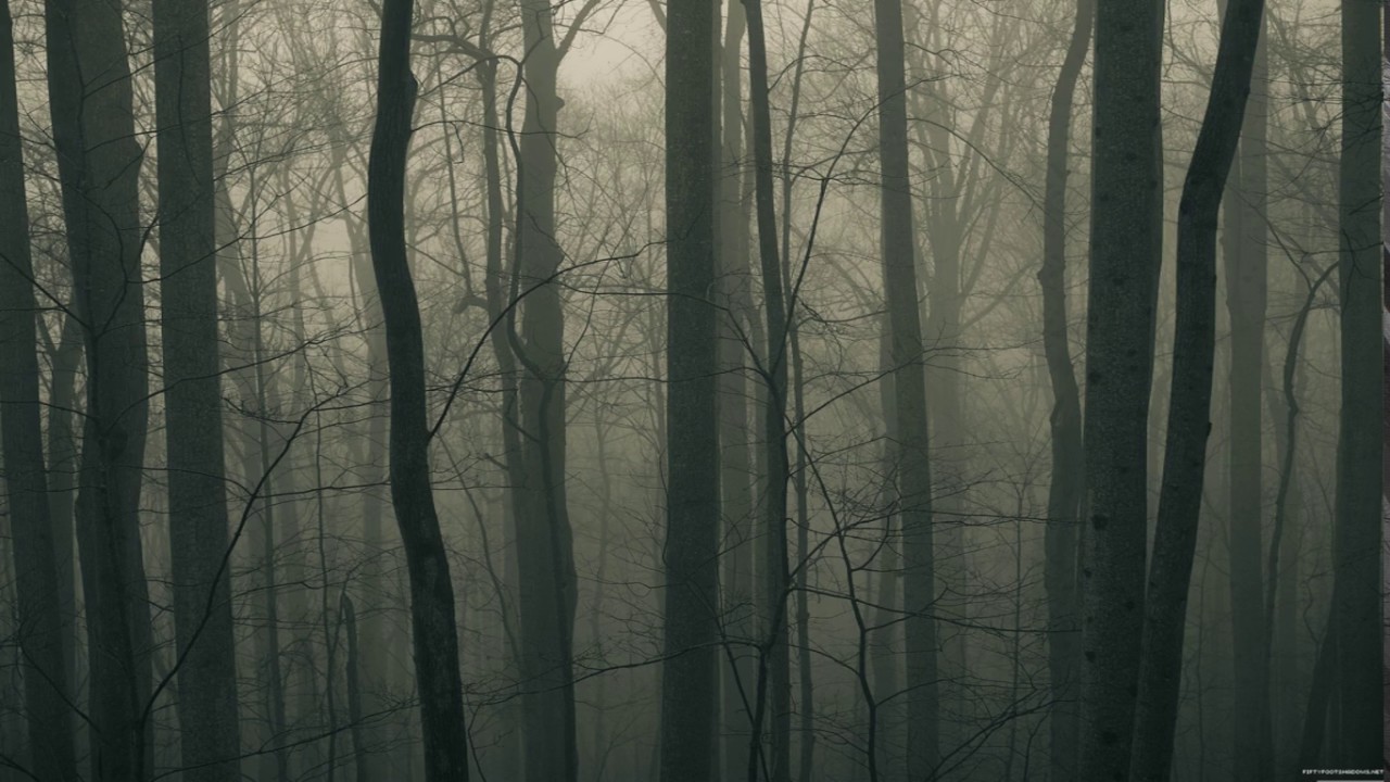 Best Of 800% Slower #3 - Cantus in Memoriam Benjamin Britten by  Arvo Pärt