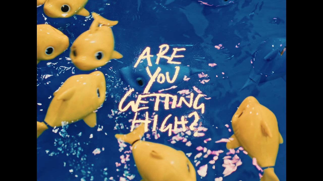 Ver The Rubens - Are You Getting High (Official Music Video) en YouTube Ver The Rubens - Are You Getting High (Official Music Video) en YouTube