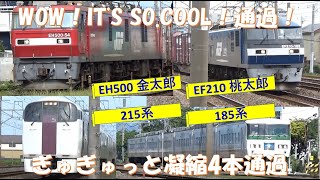 金太郎　EH500 , 桃太郎 EF210　貨物列車、215系、185系　ぎゅぎゅっと凝縮4本通過します。JAPANESE RAILWAYFREIGHT TRAIN, विद्युत रेलगाड़ी