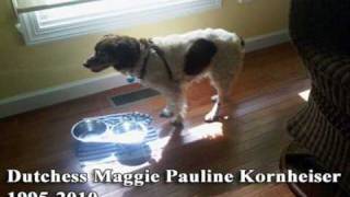The Tony Kornheiser Show - Maggie Vs. The Dogproof Garbage Can