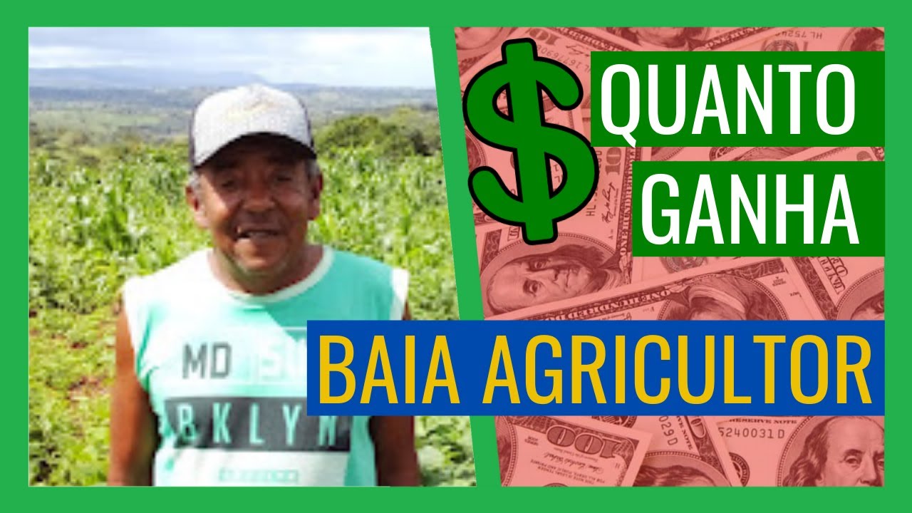 Quanto Ganha BAIA AGRICULTOR - YouTube