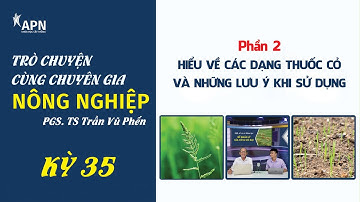 APN - QUẢN LÝ LÚA CỎ VÀ CỎ DẠI TRÊN RUỘNG LÚA | Phần 2: Những lưu ý khi sử dụng