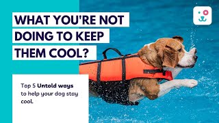 Top 5 UNTOLD ways to help your dog stay COOL 🏊🏻 in summers I| Monkoodog II by Monkoodog 473 views 1 year ago 6 minutes, 32 seconds