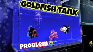 Goldfish Aquarium Fails|Blue Vinyl Background turn Black| Nikhil Patle