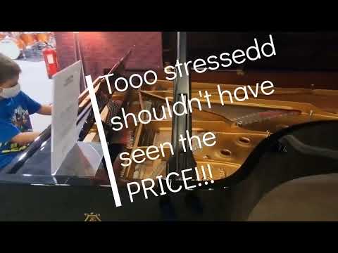 Steinway D 274
